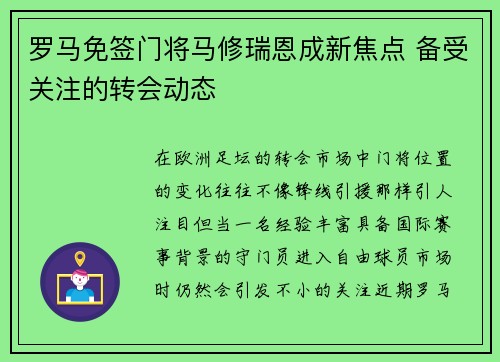 罗马免签门将马修瑞恩成新焦点 备受关注的转会动态